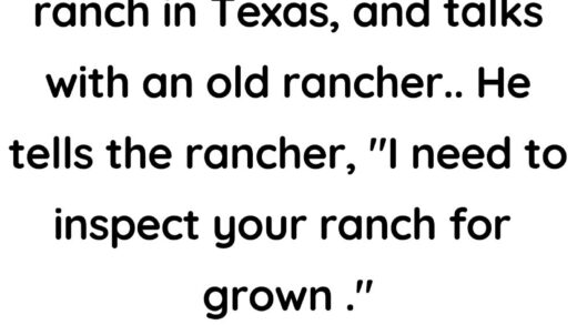 An old rancher