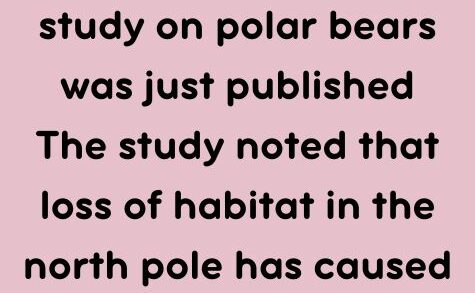 The latest scientific study on polar bears