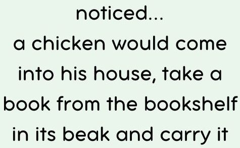 A chicken would come into his house