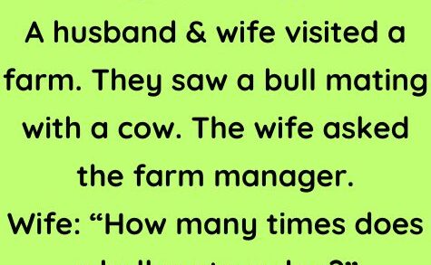 A husband and wife visited a farm